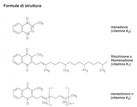 Grafico che mostra l'effetto della vitamina K sull'INR