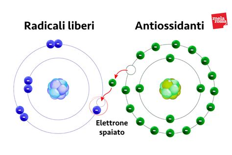 Schema comparativo tra radicali liberi e antiossidanti