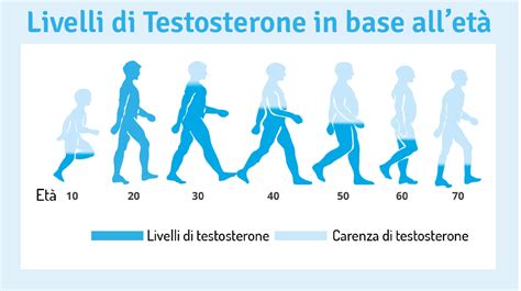 Grafico che mostra l'aumento del testosterone negli uomini con integrazione di fieno greco