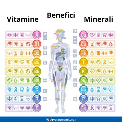 Vitamine e minerali essenziali per il corpo umano