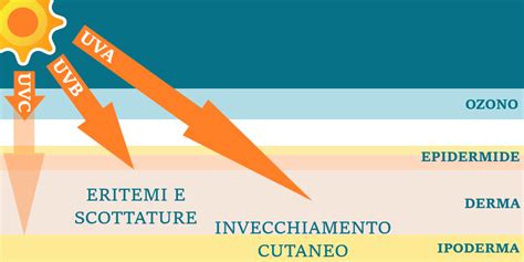 Schema che illustra i danni causati dai raggi UVA e UVB alla pelle