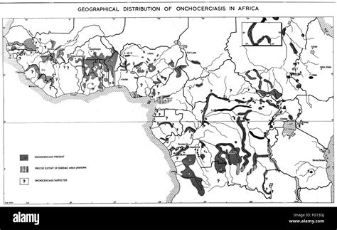 Mappa che mostra la distribuzione geografica della Rhodiola rosea