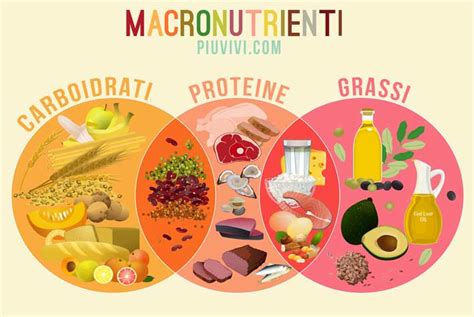 Schema dei macronutrienti per sportivi