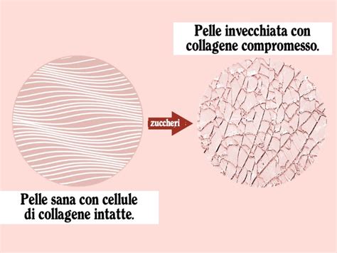 Schema della struttura del collagene e dell'elastina danneggiata dalla glicazione