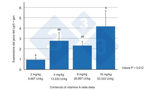 Grafico che mostra i livelli di Vitamina D durante l'anno in diverse latitudini