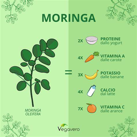 Infografica sui nutrienti della Moringa