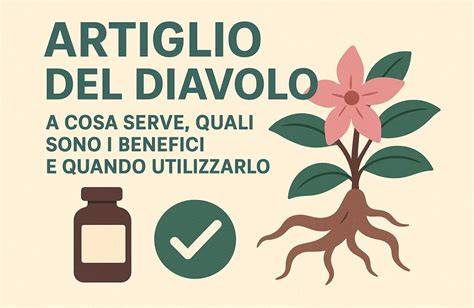 Schema dei benefici dell'Artiglio del Diavolo