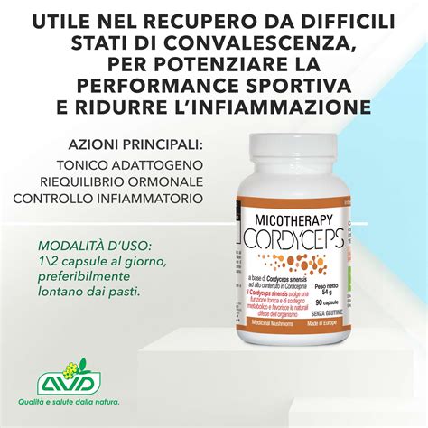 Infografica sui benefici del Cordyceps sinensis