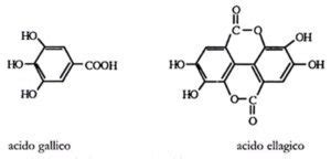 Composizione chimica del pompelmo