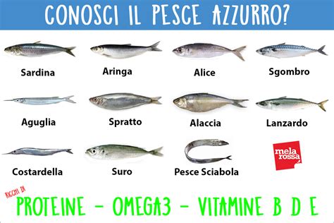 Grafico comparativo del contenuto di EPA e DHA in diversi tipi di pesce