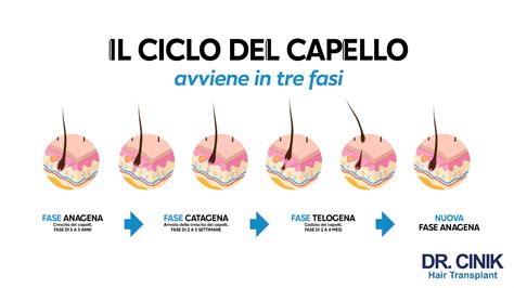 Infografica che mostra i fattori che influenzano la caduta dei capelli