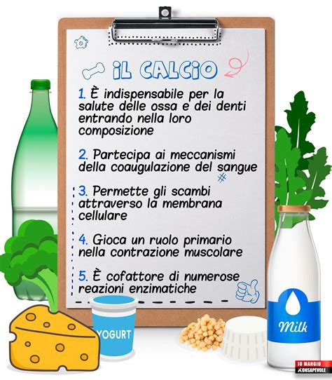Schema delle funzioni del calcio negli animali