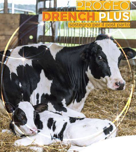 Immagine di un secchiello di Progeo Drench Plus