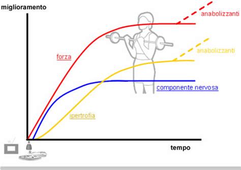 Evoluzione della forza muscolare con l'integrazione di creatina