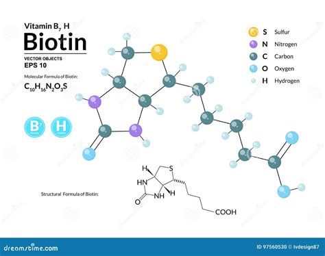 Struttura molecolare della biotina