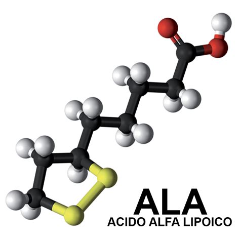 Struttura chimica dell'acido alfa lipoico