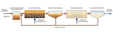 Schema del processo di purificazione dell'acqua con semi di Moringa