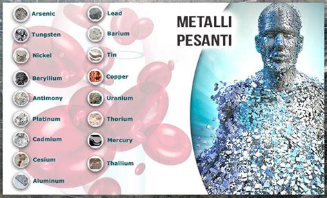 Schema del processo di biosorbimento dei metalli pesanti da parte della Chlorella vulgaris