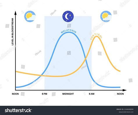 Grafico del ritmo circadiano