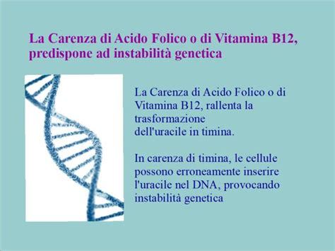 Diagramma che illustra la relazione tra acido folico, vitamina B12 e sintesi del DNA
