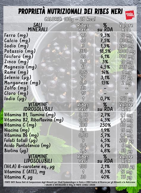 Grafico che illustra i benefici del ribes nero