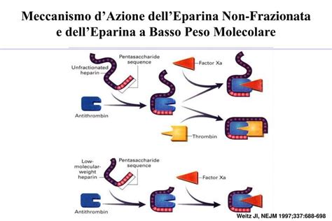 Meccanismo d'azione dell'eparina