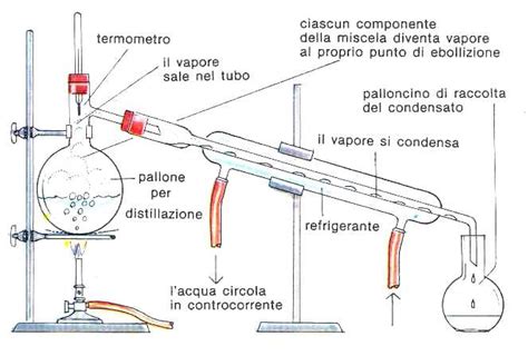 Schema che mostra il processo di distillazione molecolare per la purificazione dell'olio di pesce