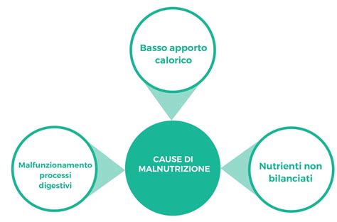 Schema delle tipologie di malnutrizione