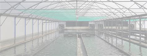 Serra per la coltivazione di spirulina su Marte