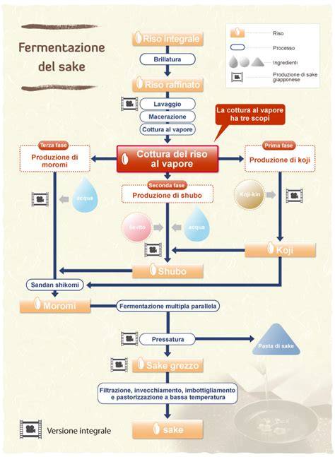 Processo di fermentazione del riso rosso