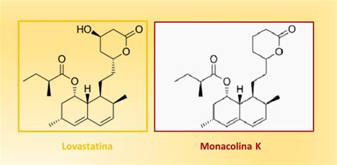 Struttura molecolare della Monacolina K e Lovastatina