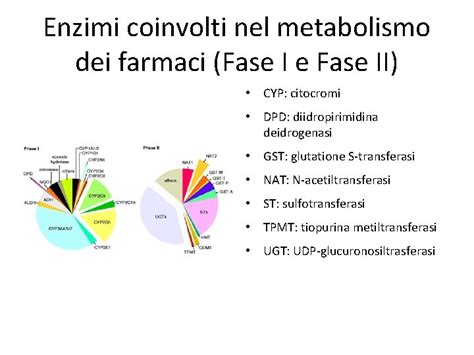 Infografica sul metabolismo dei farmaci e il ruolo degli enzimi epatici