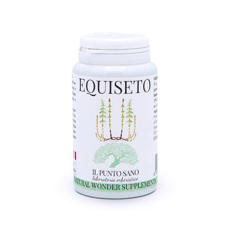 Schema dei benefici dell'equiseto per ossa, capelli e pelle