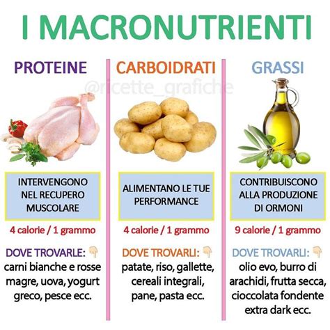 Infografica sui macronutrienti nei pasti sostitutivi