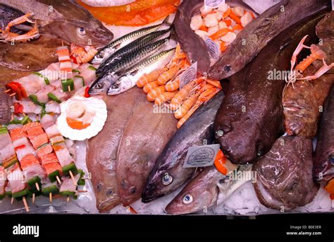 Immagine di vari tipi di pesce e carne