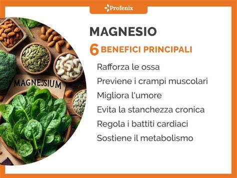 Infografica sui benefici del magnesio per il corpo umano