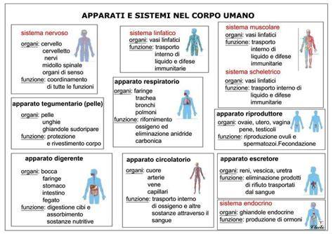 Localizzazione delle principali acquaporine nel corpo umano