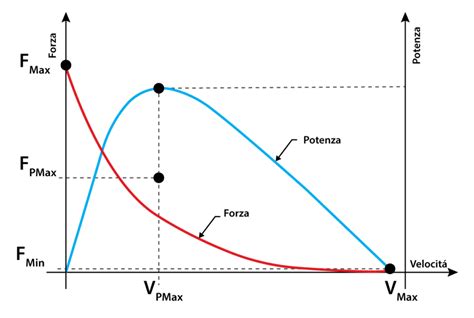 Grafico che mostra l'aumento di forza con l'integrazione di creatina