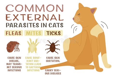 Illustrazione di alcuni parassiti comuni del tiglio