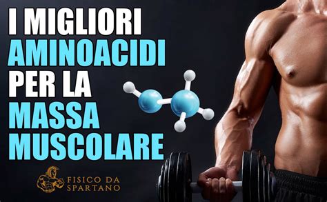 Infografica che mostra i benefici delle proteine e degli aminoacidi per la massa muscolare