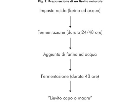 Diagramma che illustra la fermentazione del lievito