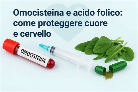 Grafico che mostra la correlazione tra acido folico, omocisteina e rischio cardiovascolare
