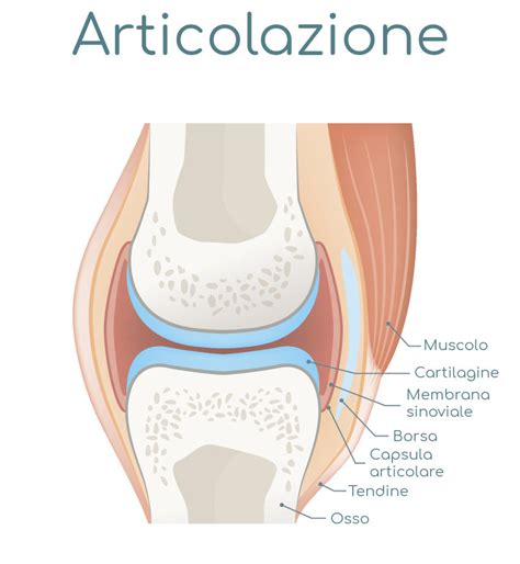 Schema articolazione infiammata vs sana