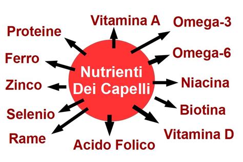 Schema dei nutrienti per la salute dei capelli
