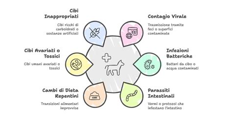 Schema delle cause della gastroenterite nel cane