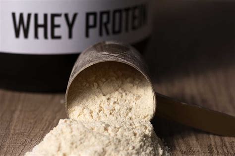 Schema su quando assumere le proteine in polvere