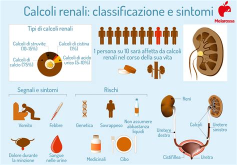 Infografica che illustra i sintomi comuni dei calcoli renali e biliari.