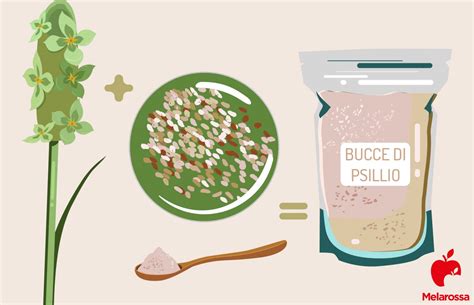 Infografica su come assumere lo psillio