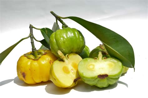 Frutto della Garcinia Cambogia