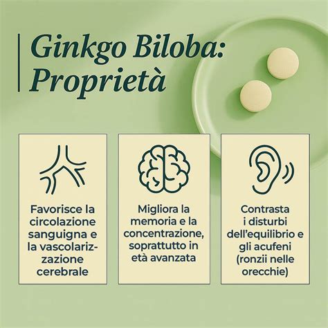 Infografica sui benefici del Ginkgo Biloba per la memoria